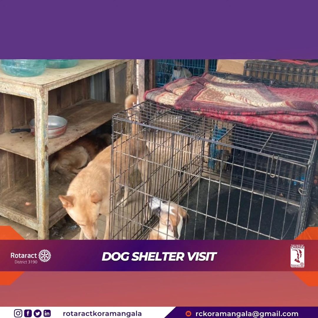 Rotaract Koramangala Bengaluru Visit to Dog Shelter
