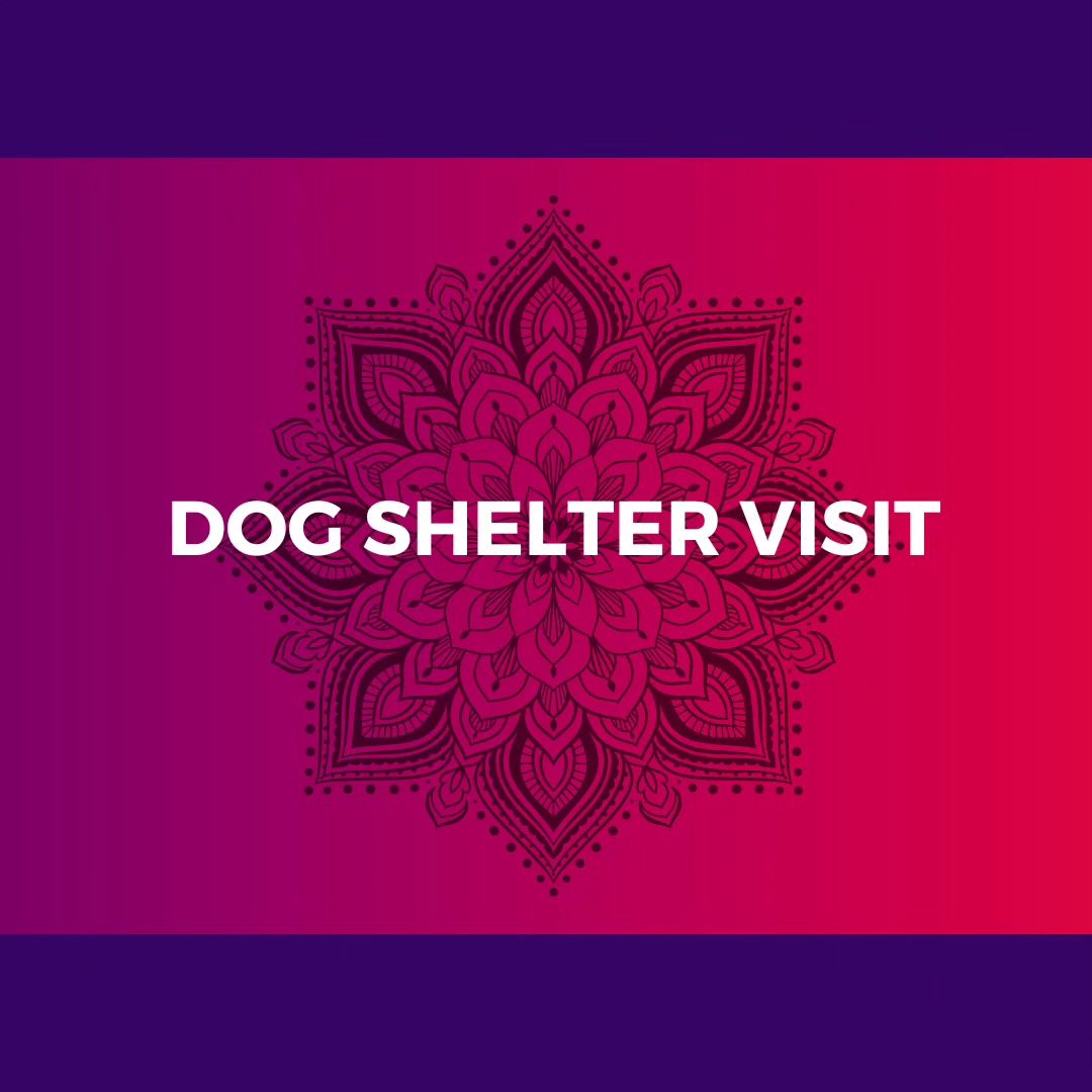 Rotaract Koramangala Bengaluru Visit to Dog Shelter